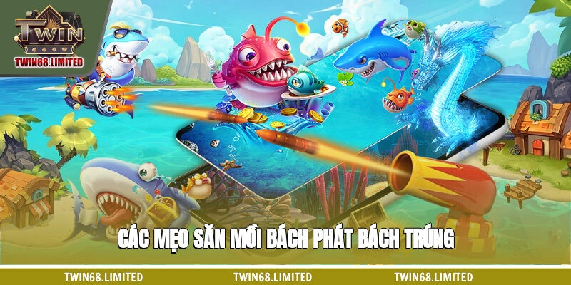 Các mẹo săn mồi bách phát bách trúng