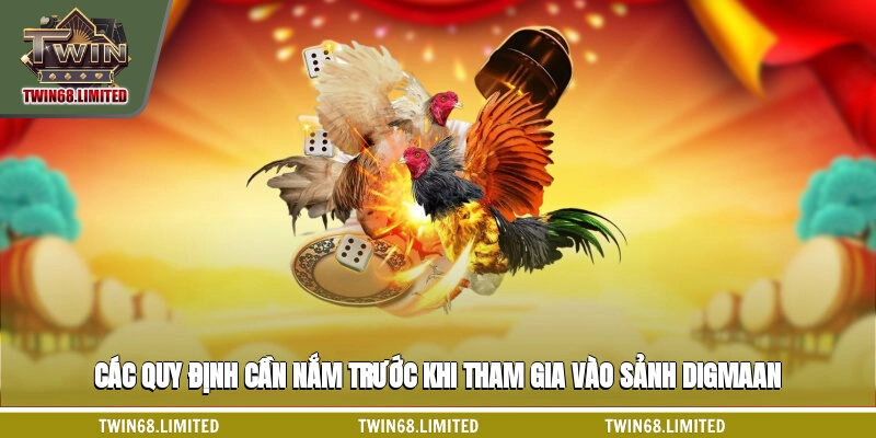 Các quy định cần nắm trước khi tham gia vào sảnh Digmaan
