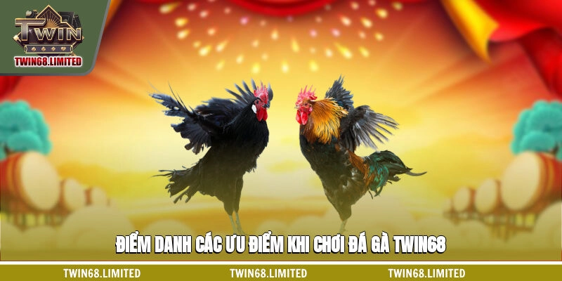Điểm danh các ưu điểm khi chơi đá gà TWIN68