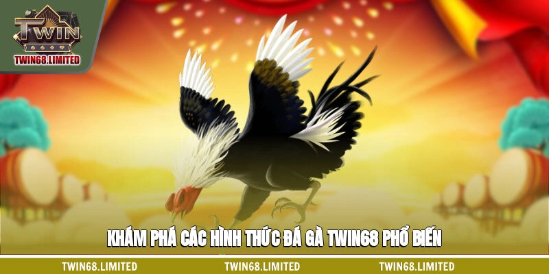 Khám phá các hình thức đá gà TWIN68 phổ biến