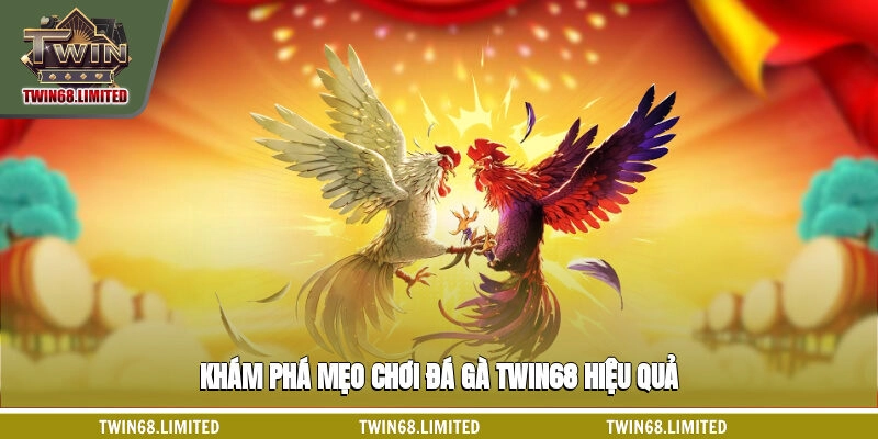 Khám phá mẹo chơi đá gà TWIN68 hiệu quả