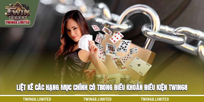 Liệt kê các hạng mục chính có trong điều khoản điều kiện TWIN68