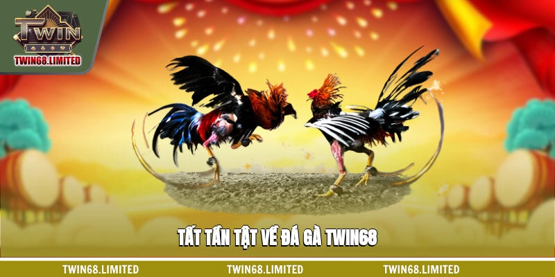 Tất tần tật về đá gà TWIN68