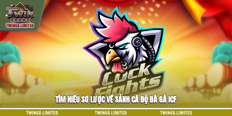 Tìm hiểu sơ lược về sảnh cá độ đá gà ICF