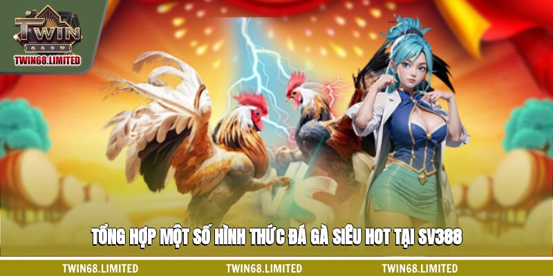 Tổng hợp một số hình thức đá gà siêu hot tại SV388