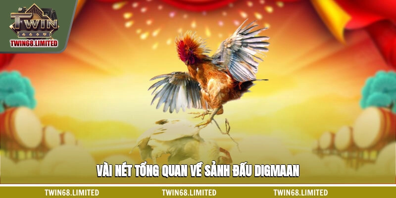 Vài nét tổng quan về sảnh đấu Digmaan